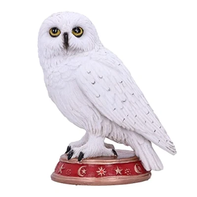 Image of Nemesis Now Wizard&#039;s Familiar Owl Figurine, White, 10cm