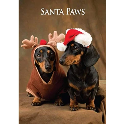Image of Miniature Dachshunds Dog Christmas Card by Charles Sainsbury Plaice. Large A5 Size with Envelope.