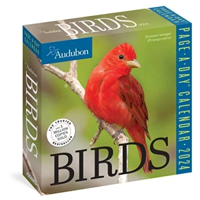 Image of Audubon Birds Page A Day Calendar 2024: The World&#039;s Favourite Bird