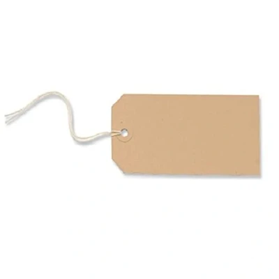 Image of Merit Strung Tag 120x60mm Buff Ref TG8074 (Pack 1000)