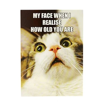 Image of UK Greetings Birthday Card for Him/Her/Friend Meme Design