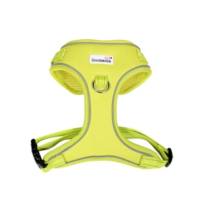 Image of Adjustable Airmesh, Citrus, 3 5