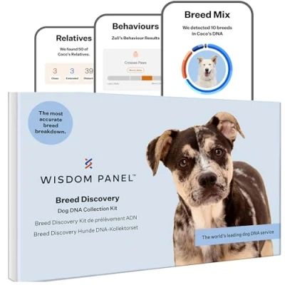 Image of Wisdom Panel Breed Discovery Dog DNA Test Kit Most Accurate ID Behaviours MDR1 Ancestry Relatives