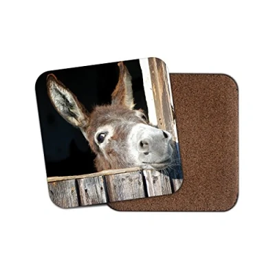 Image of 1 x Cheeky Donkey Cork Backed Drinks Coaster Horse Kids Cute Animal #8260