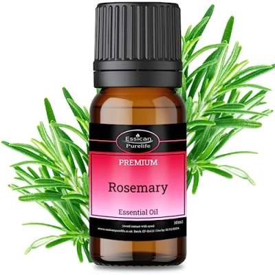 Image of Rosemary Essential Oils, 100% Pure Oil Therapeutic Grade for Hair Growth, Diffuser, Humidifier, Aromatherapy, Sleep, Relax, Beard, Massage, Candles Vegan &amp; UK Made 10ml