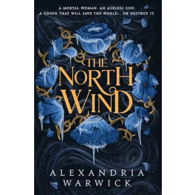 Image of the North Wind: TikTok sensation! An enthralling enemies to lovers romantasy, first in Four Winds series (Volume 1)