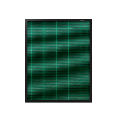 Image of Coway 2 in 1 MAX2 Filter for Airmega 250/250S