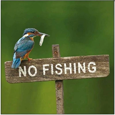 Image of Photographic Blank/Birthday Greeting Card (WDM 453359) Kingfisher Stunning From the RSPB Range by Woodmansterne Suitable for Any Recipient
