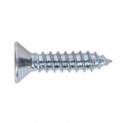Image of Sealey Self Tapping Screw 4.2 x 19mm Countersunk Pozi Pack of 100