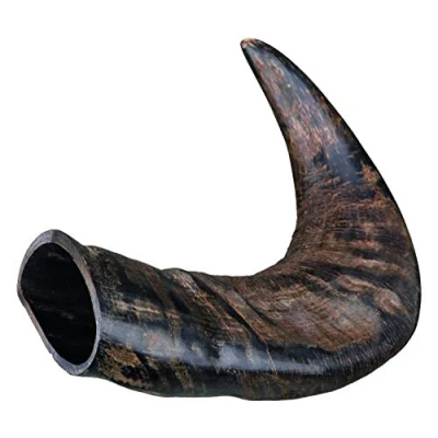 Image of Trixie Genuine Buffalo Chewing Horn for Dogs, Medium