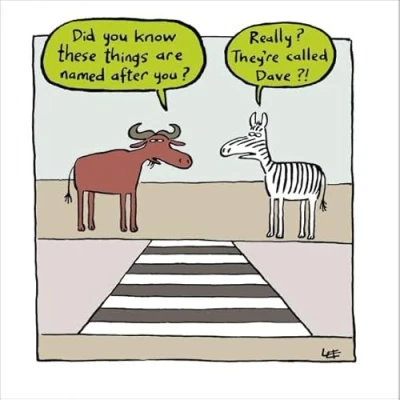 Image of Woodmansterne General Humour Male/Female Card Zebra Crossing Named After You Eco Friendly and Recyclable