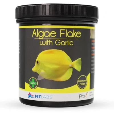 Image of NT Labs Pro f Algae Flake With Garlic, Marine Fish Food, Feed, Supports Immune System, Contains SIZE 30 gm