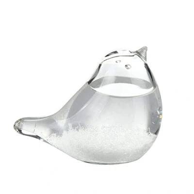 Image of Weather Station Forecaster Decoration Craft,Storm Glass Bird Predicting Globe Storm Cloud