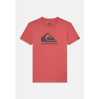 Image of Quiksilver LOGO Youth Unisex Print Tshirt, Size: 14y, Mineral red