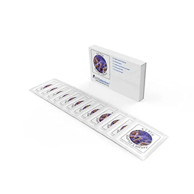 Image of Kefir Starter Cultures Pack of 12 Freeze Dried Sachets for Homemade Milk (12 sachets)