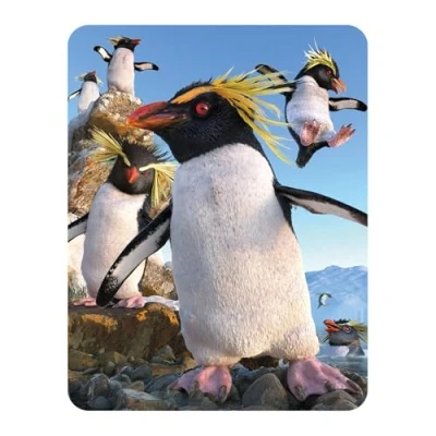 Image of 3D LiveLife Magnet Rockhoppers from Deluxebase. Lenticular Penguin Fridge Magnet. Magnetic decor for kids and adults with artwork licensed renowned artist, David Penfound