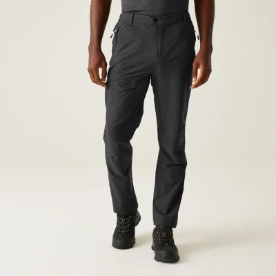Image of Regatta Men&#039;s Water repellent Highton II Walking Trousers Ash, Size: 44 S