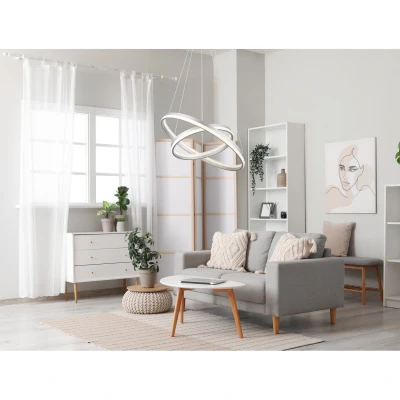 Image of Mary Pendant Ceiling Light Silver Colored Matt 2x LED Dimmable 2700 6500K Remote Control Timer