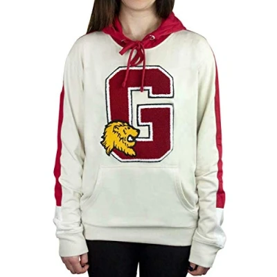 Image of Harry Potter Hogwarts Gryffindor G Patch Logo Premium Hoody/Hoodie M Black