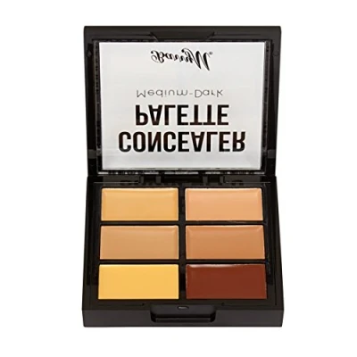 Image of Barry M Concealer Palette , Medium/Dark