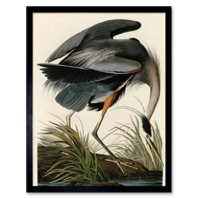 Image of Artery8 Audubon Birds Great Blue Heron Painting Art Print Framed Poster Wall Decor 12x16 inch