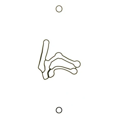 Image of 71736483, 71737925 Gaskets AJUSA 77008000 VAUXHALL: Astra Mk5 Sport Hatch, Astravan Mk5, Zafira Mk2, OPEL: H GTC, Hatchback