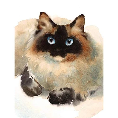 Image of Wee Blue Coo Cat Ragdoll Face Watercolour Art Print Poster Wall Decor 12X16 Inch