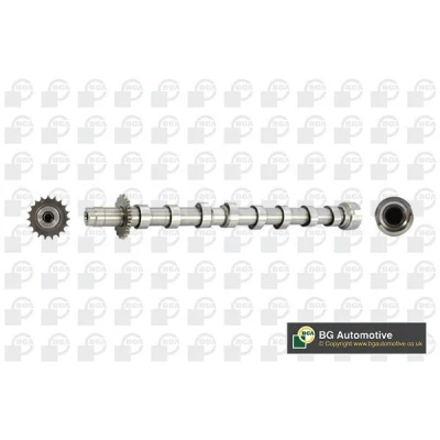 Image of 1019049, 1231969, 1231970, 1495923, 1683721 Camshaft BGA CS5524 Exhaust Side PEUGEOT: 307 SW