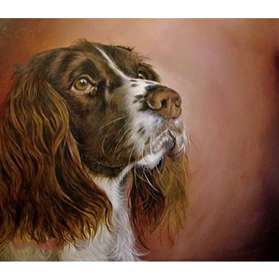 Image of DIY 5D Diamond Painting Kits Springer Spaniel Dog Full Drill Crystal Rhinestone Embroidery Pictures Arts for Home Wall Decor