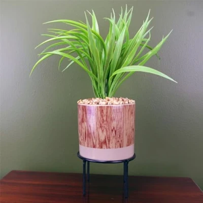 Image of Leaf Office Artificial Plants, Desktop Realistic