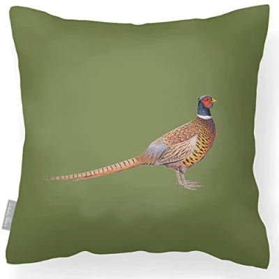 Image of Izabela Peters Outdoor Cushions Waterproof, 43 cm, Filled Cushion, Pheasant Sage, Garden Furniture Cushions, Seat Chair