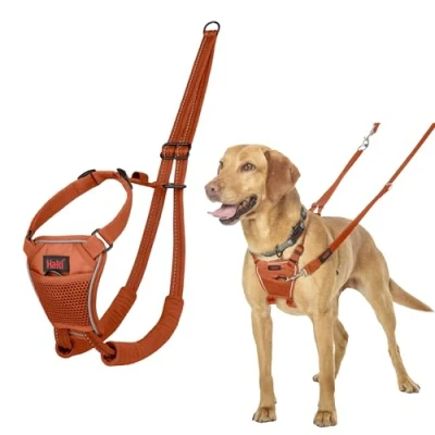 Image of HALTI No Pull Anti Harness Prevents Your Dog from Pulling on the Lead, Padded Chest and Leg Strap, Reflective Strap Material, Easy Adjustment Use (Size M, Dark Orange)