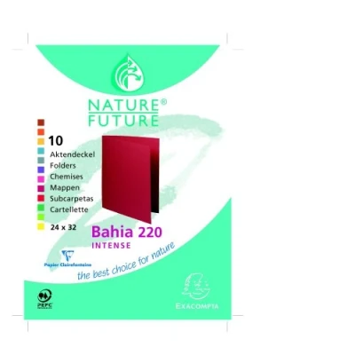 Image of Exacompta Ref. 217001E Pack of 10 ROCK&#039;&#039;S 210 g/m2 rigid folders in bright colors PEFC™ certified dimensions 24 x 32 cm for A4 format Assorted