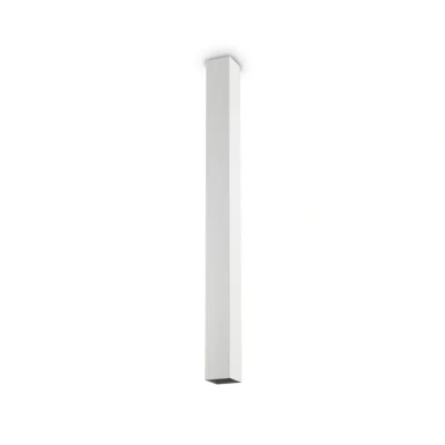 Image of Sky Indoor Surface Mounted Ceiling Lamp 1 Light White Long, GU10