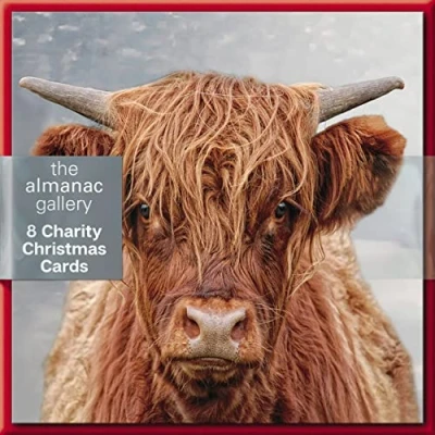 Image of Almanac Pack of 8 Highland Cow Mini Charity Christmas Cards Multiple Charities ASCX9829