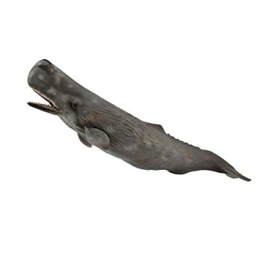 Image of CollectA Sperm Whale