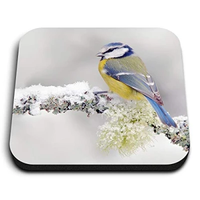 Image of 1 x Square MDF Fridge Magnet Blue Tit Bird 15663