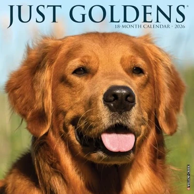 Image of Just Goldens Calendar 2026