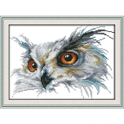 Image of Cross Stitch Kits, Awesocrafts Owl Animals Easy Patterns Stitching Embroidery Kit Supplies Christmas, Stamped (Owl, Stamped)