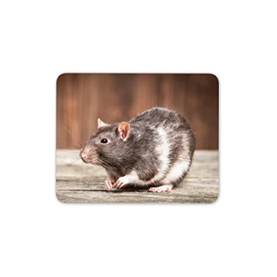 Image of Destination Vinyl ltd Adorable Pet Rat Mouse Mat Pad Rats Rodent Mice Cute Fun Computer #8686