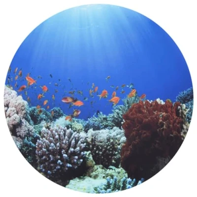 Image of tickit 73560 Under the Sea Discovery Play Mat Water Sensory Toy Exploration