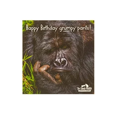 Image of Funny Birthday Card for Him Her Humerous The Comedy Wildlife Grumpy Gorilla Blank Inside