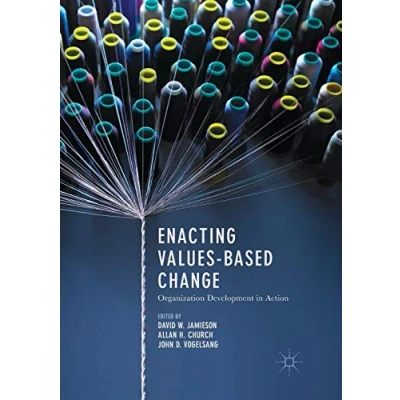 Image of Enacting Values Based Change: Organization Development in Action