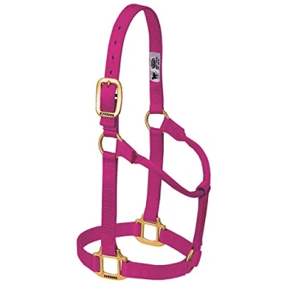 Image of Weaver Leather Original Non Adjustable Nylon Horse Halter, Large, Raspberry