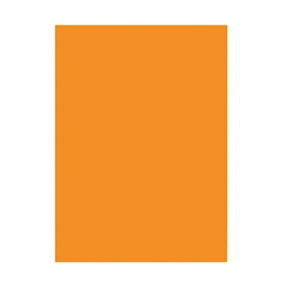 Image of Folia Bringmann 6317 Paper A3 (50 Sheets) Ochre