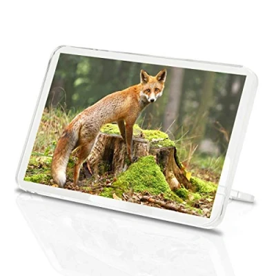 Image of Ginger Fox Classic Fridge Magnet Wildlife Nature Animal Woodland Gift #8220
