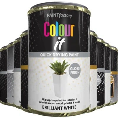 Image of AlezyB All Purpose White Gloss Tin Paint 300ml Quick and Fast Drying Multipurpose for Metal, Wood, Plastic More Interiro Exterior