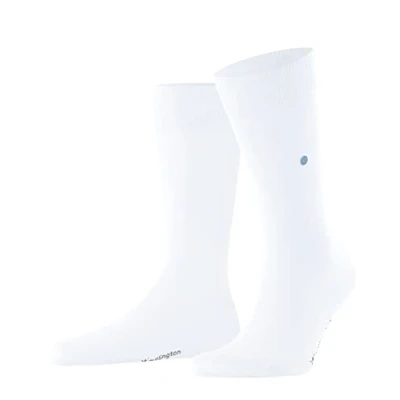 Image of Mens 1 Pair Burlington Lord Plain Cotton Socks White 6.5 11