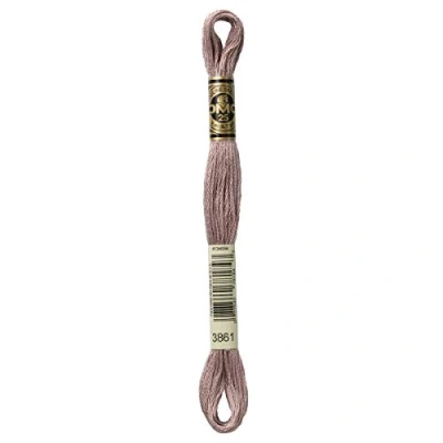 Image of DMC Stranded Cotton Thread for Hand Embroidery Colour 3861 5 x 8m Skeins