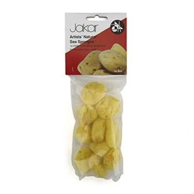 Image of Jakar Artist Natural Sea Sponges (10)